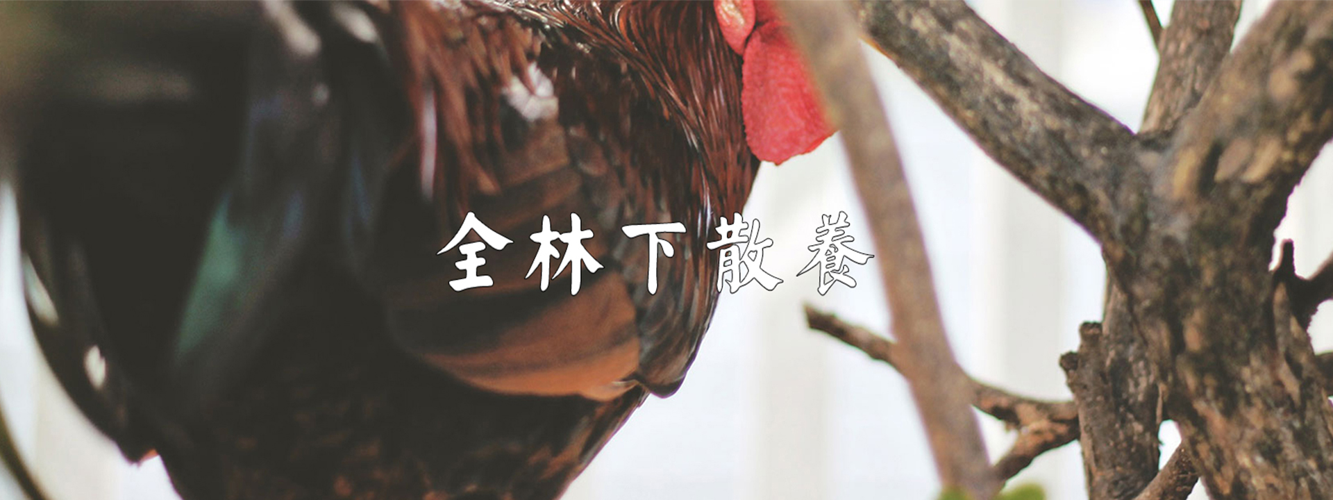 重庆秋葵视频APP下载污农产品配送有限公司